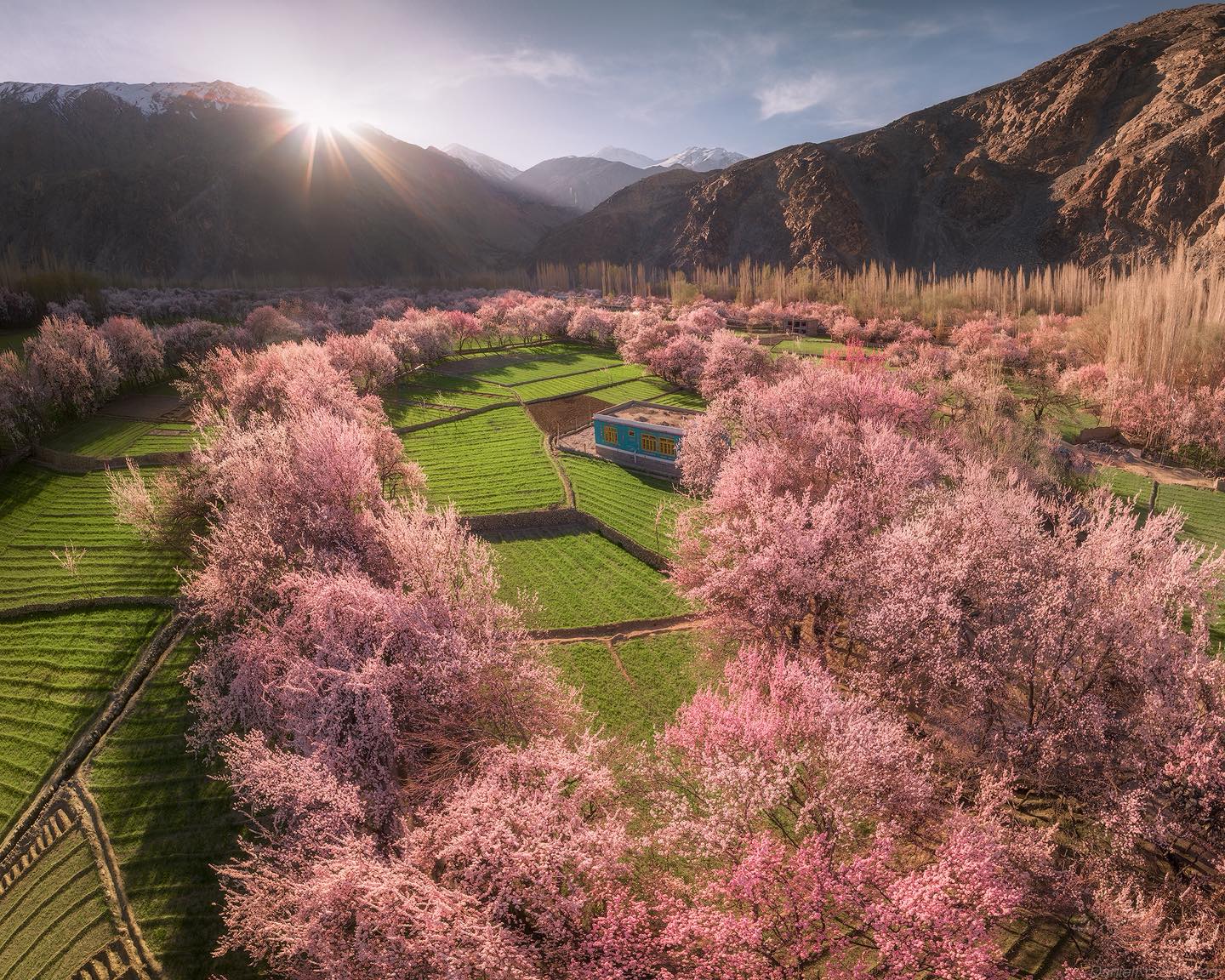 7 Days By Road Trip to Skardu and Deosai National Park